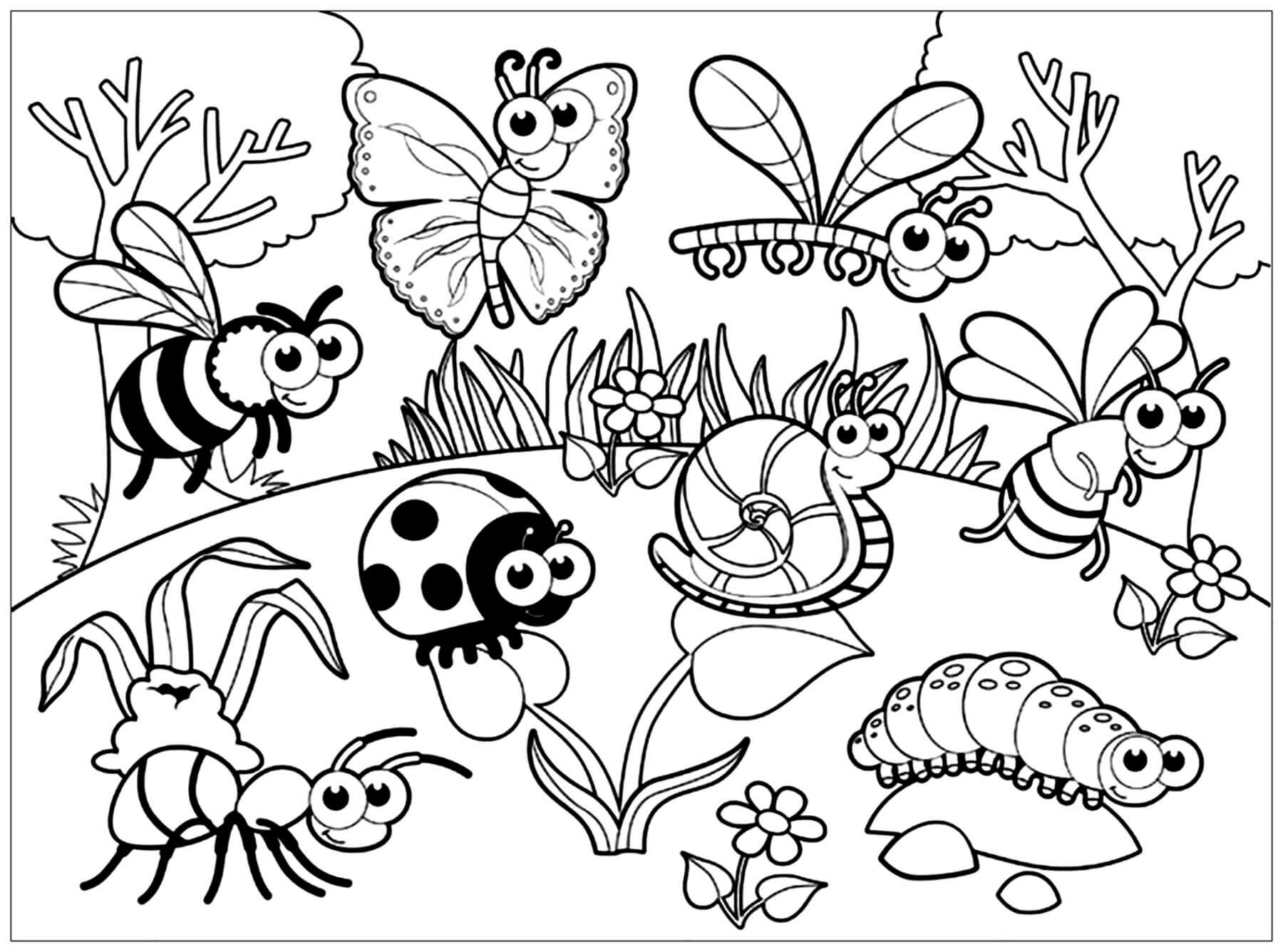 Dibujos de Insectos para Imprimir para colorear