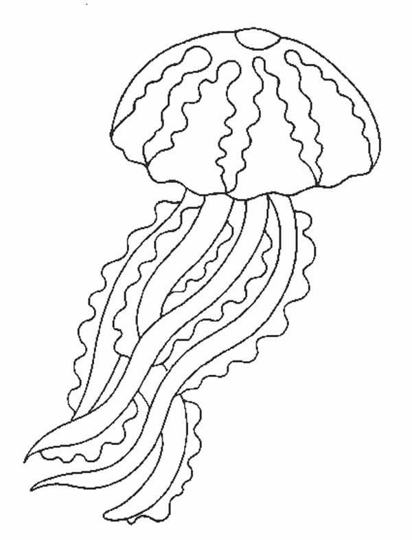 Dibujos de JellyFish Imprimible para colorear