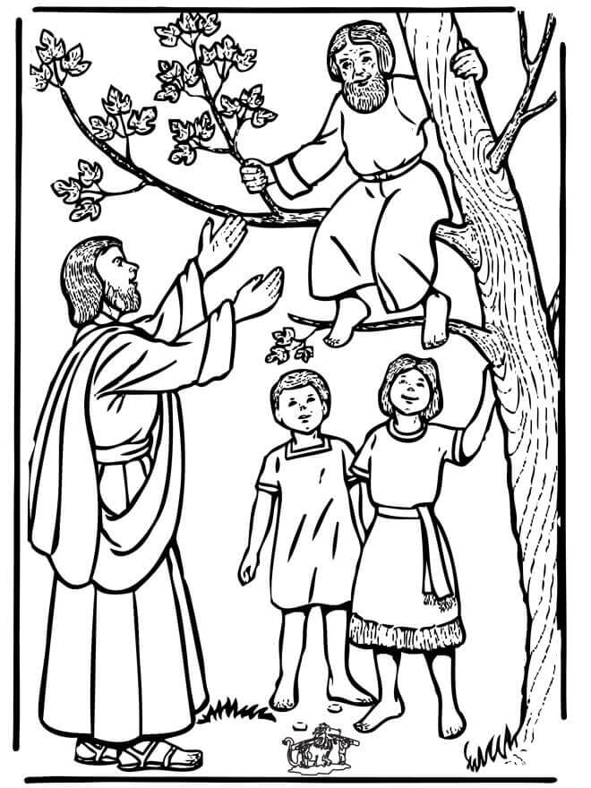 Dibujos de Jesús en el Árbol y Zaqueo para colorear