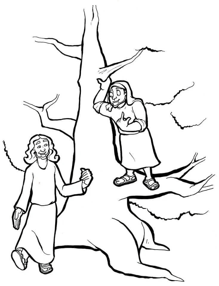 Dibujos de Jesús en el árbol y Zaqueo 1 para colorear