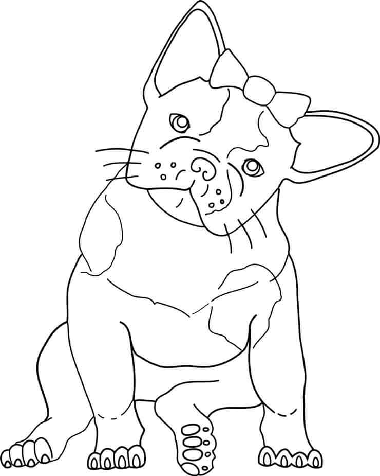 Dibujos de Kawaii Bulldog para colorear