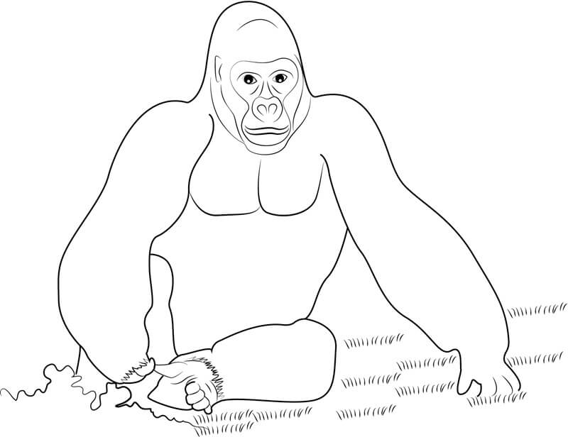 Dibujos de King Kong Sentado para colorear