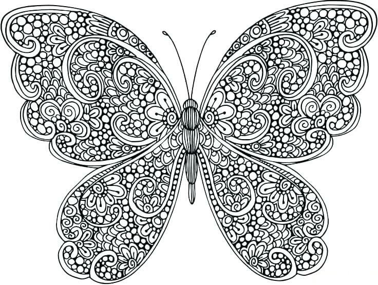 Dibujos de La Mariposa es para Adultos para colorear