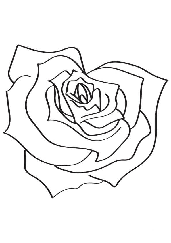 Dibujos de La Rosa en Forma de Corazón para colorear
