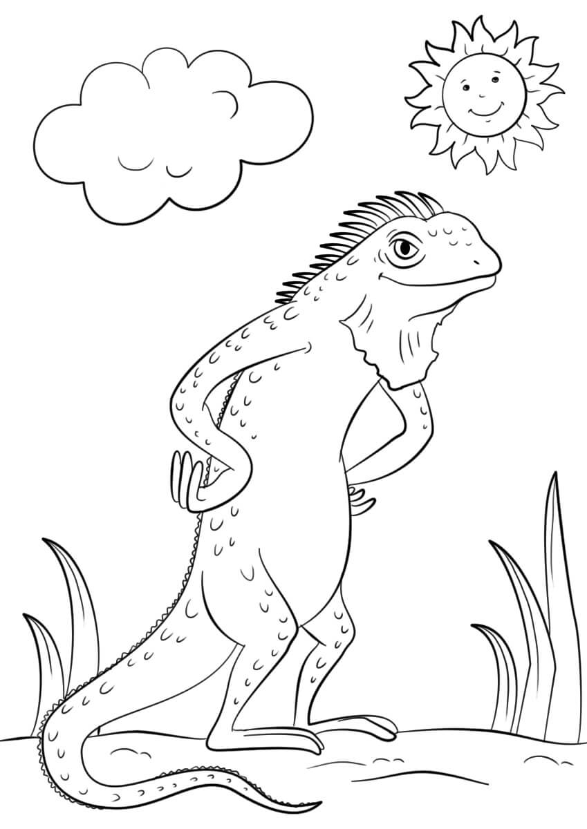 Lagarto Iguana de Dibujos Animados para colorir