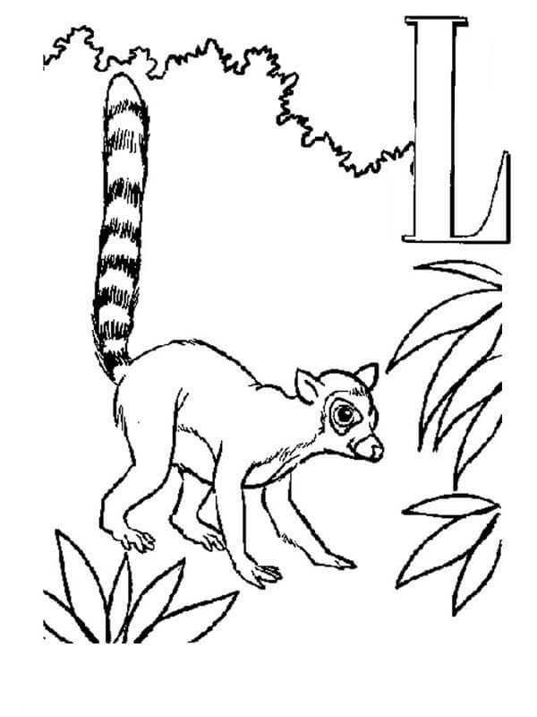 Lemur y Letra L para colorir