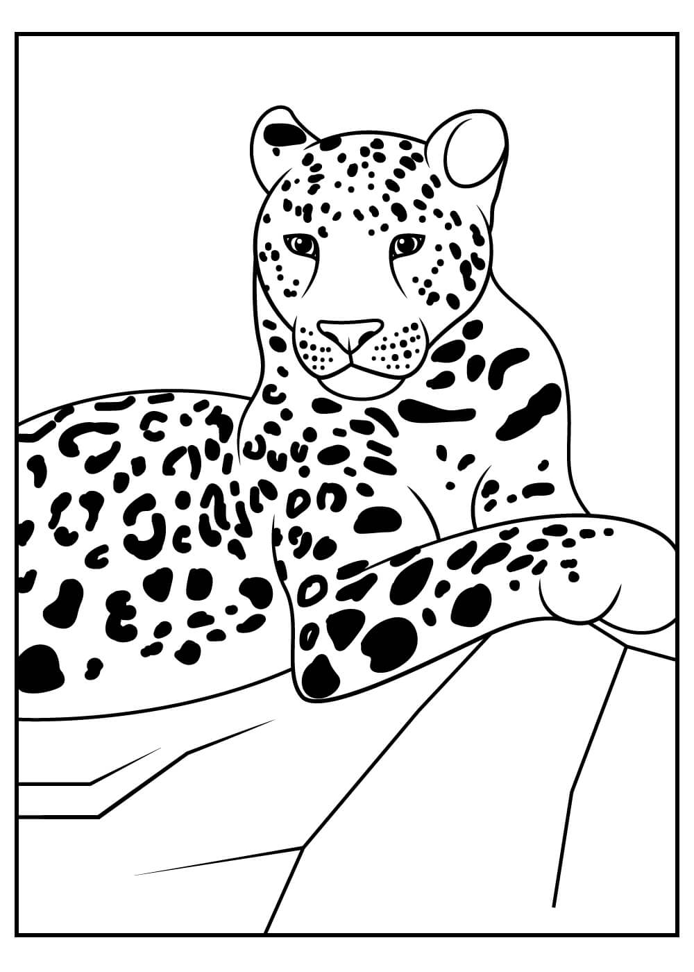 Leopardo Acostado para colorir