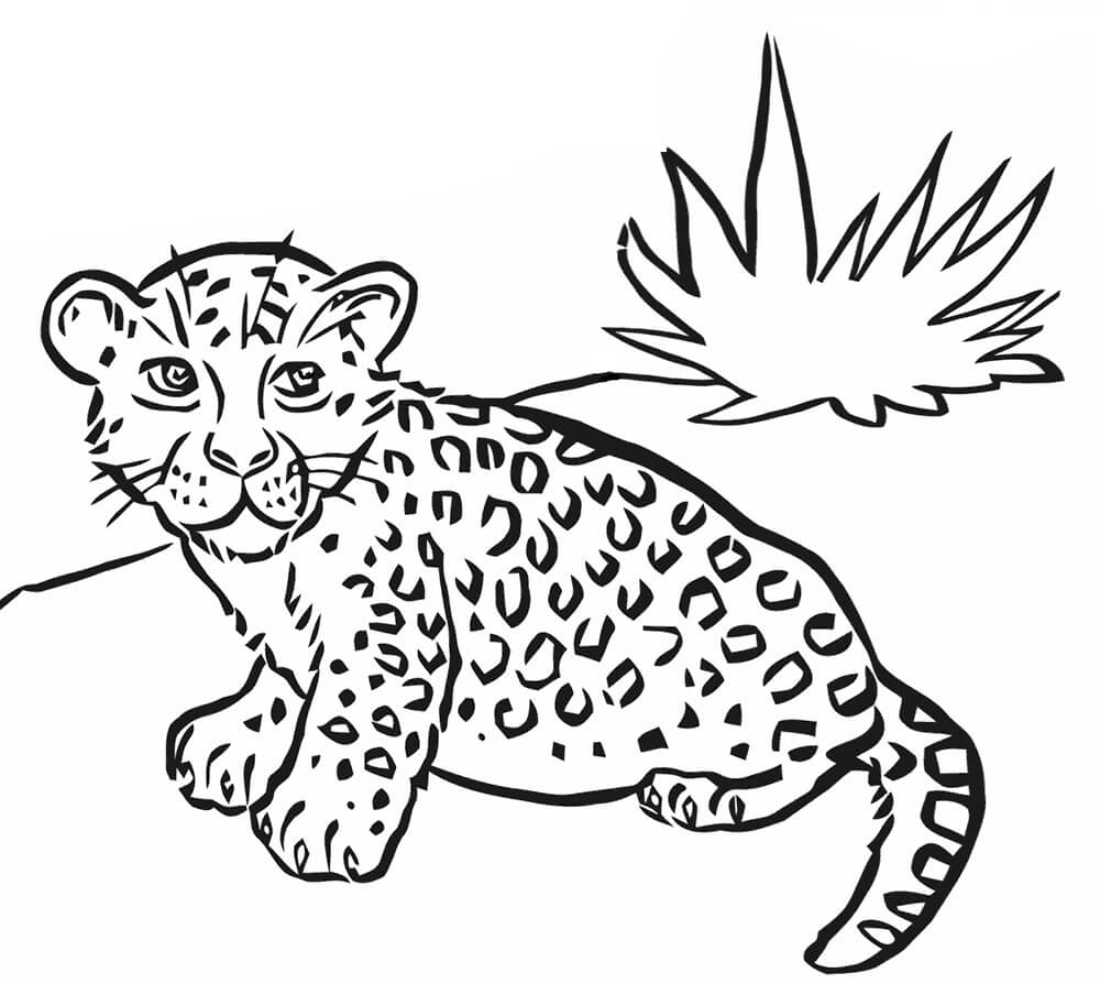 Dibujos de Leopardo Bebé Básico para colorear