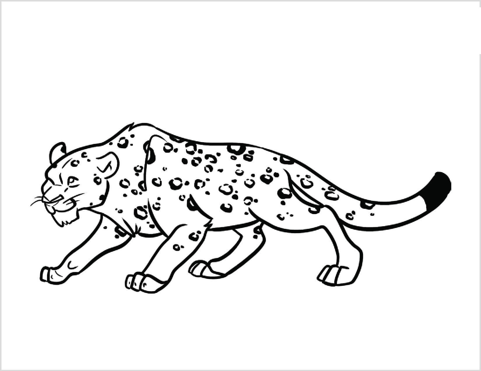 Dibujos de Leopardo Impresionante para colorear