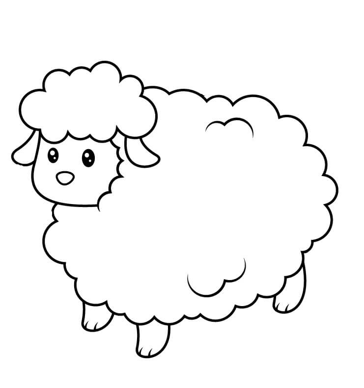 Dibujos de Linda oveja Bebé para colorear