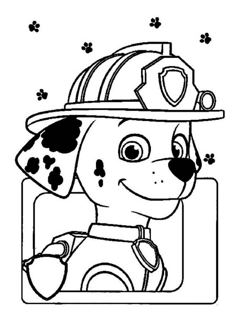 Dibujos de Lindo Marshall Paw Patrol para colorear