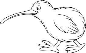 Lindo Pájaro Kiwi para colorir