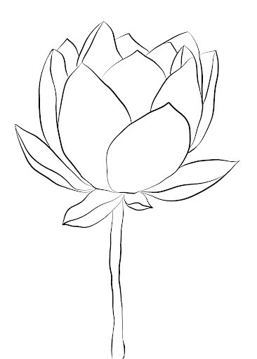 Dibujos de Lotus