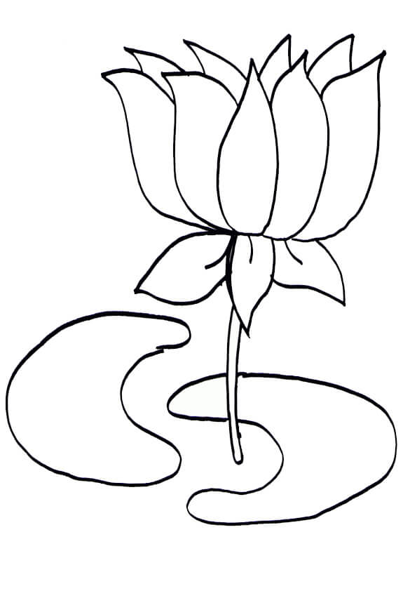 Lotus Básico para colorir
