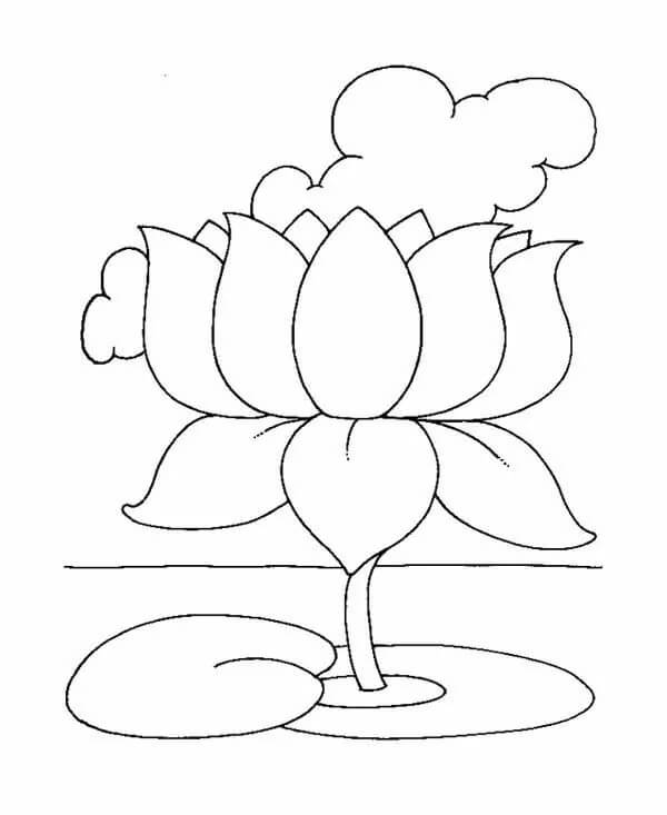 Lotus Imprimible para colorir