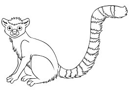 Dibujos de Lémur Básico para colorear