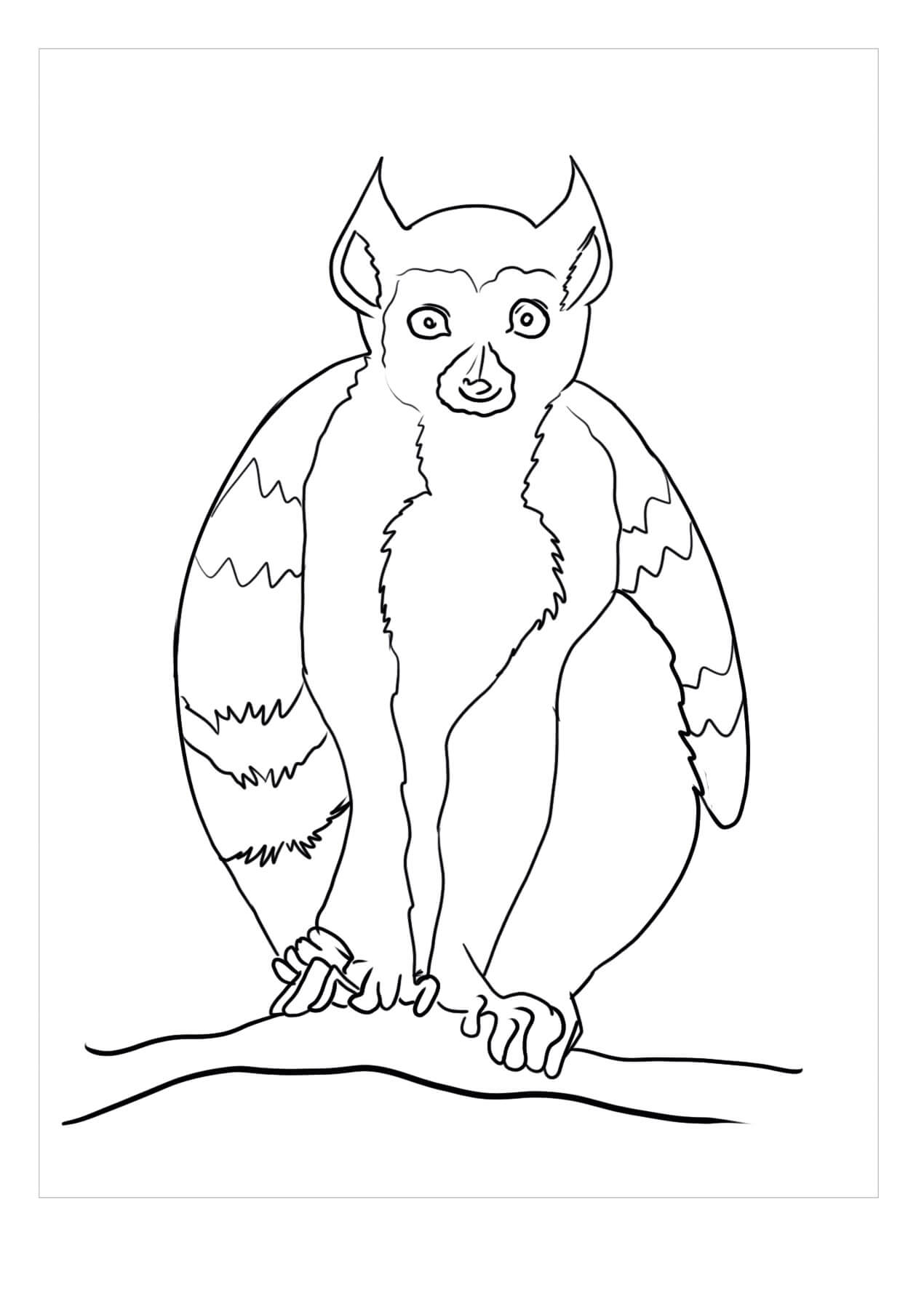 Dibujos de Lémur Normal para colorear