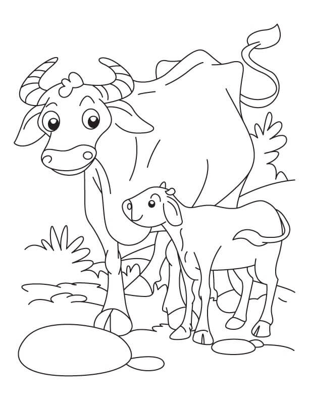Dibujos de Madre Búfalo y Bebé Búfalo para colorear