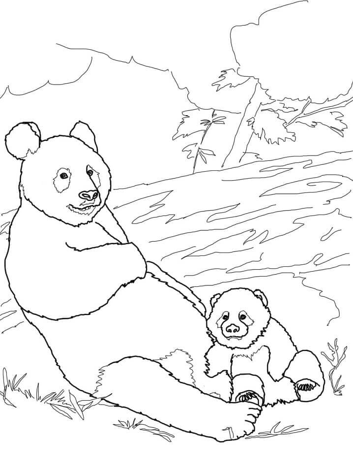 Dibujos de Madre con Hijo Panda para colorear