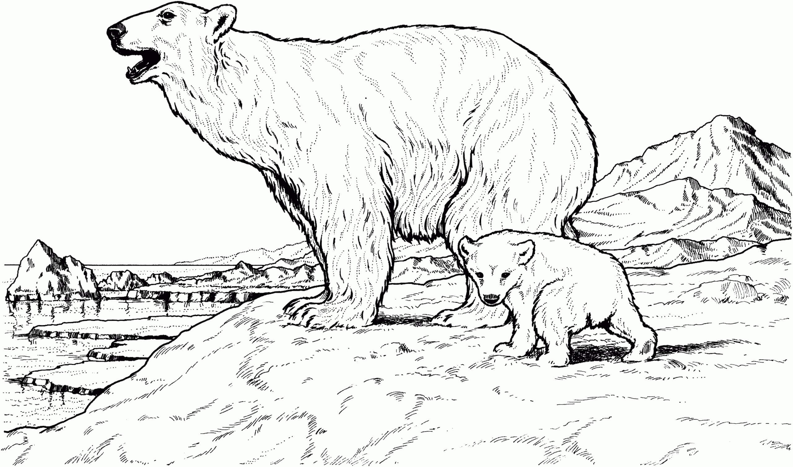 Madre oso e Hijo para colorir