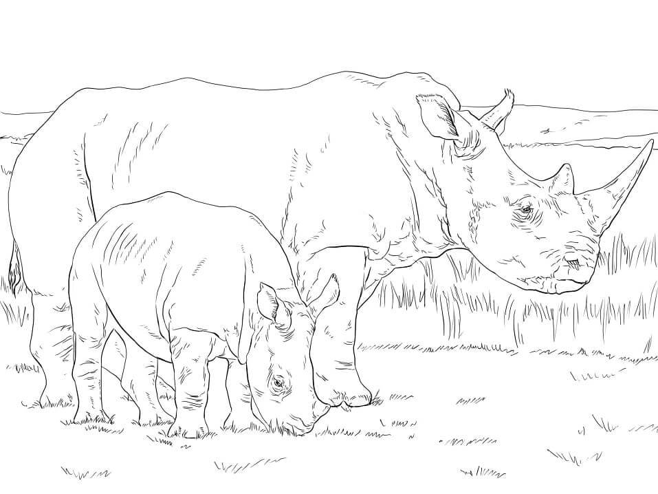 Dibujos de Madre y Bebé de Rinoceronte Blanco para colorear