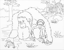 Mamá y Bebé Orangután para colorir