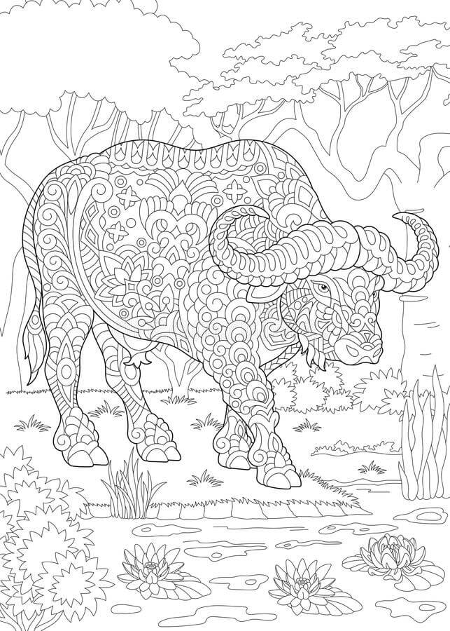 Dibujos de Mandala de Búfalo para colorear