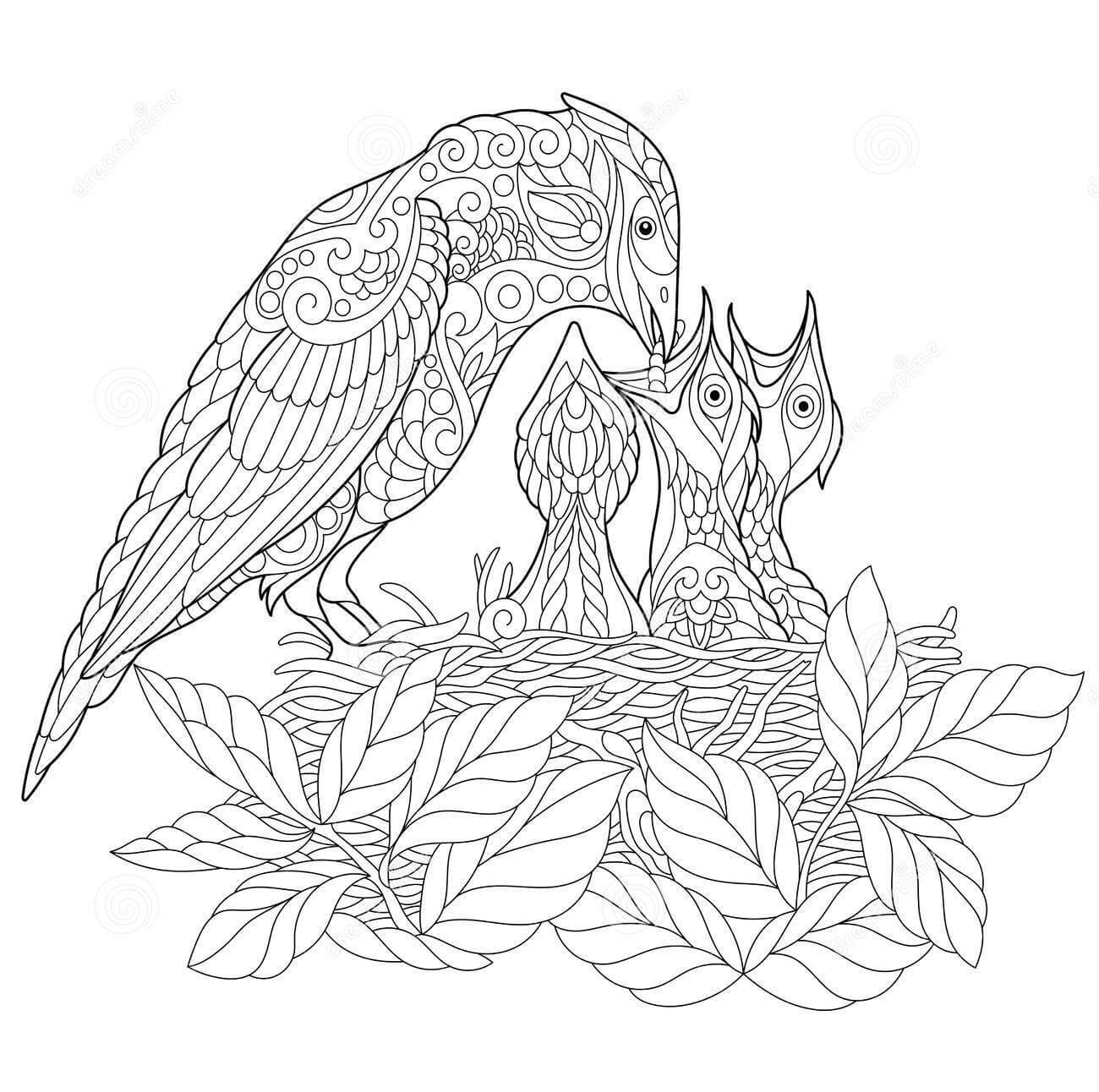 Dibujos de Mandala del Pájaro de la Familia Jay para colorear
