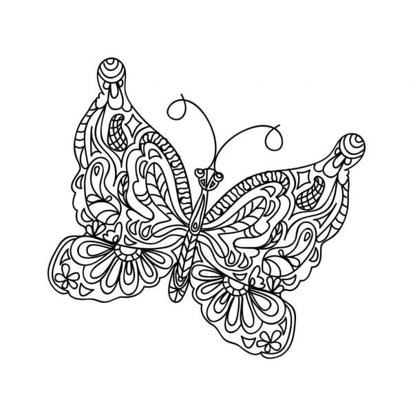 Dibujos de Mariposa Adulto para colorear