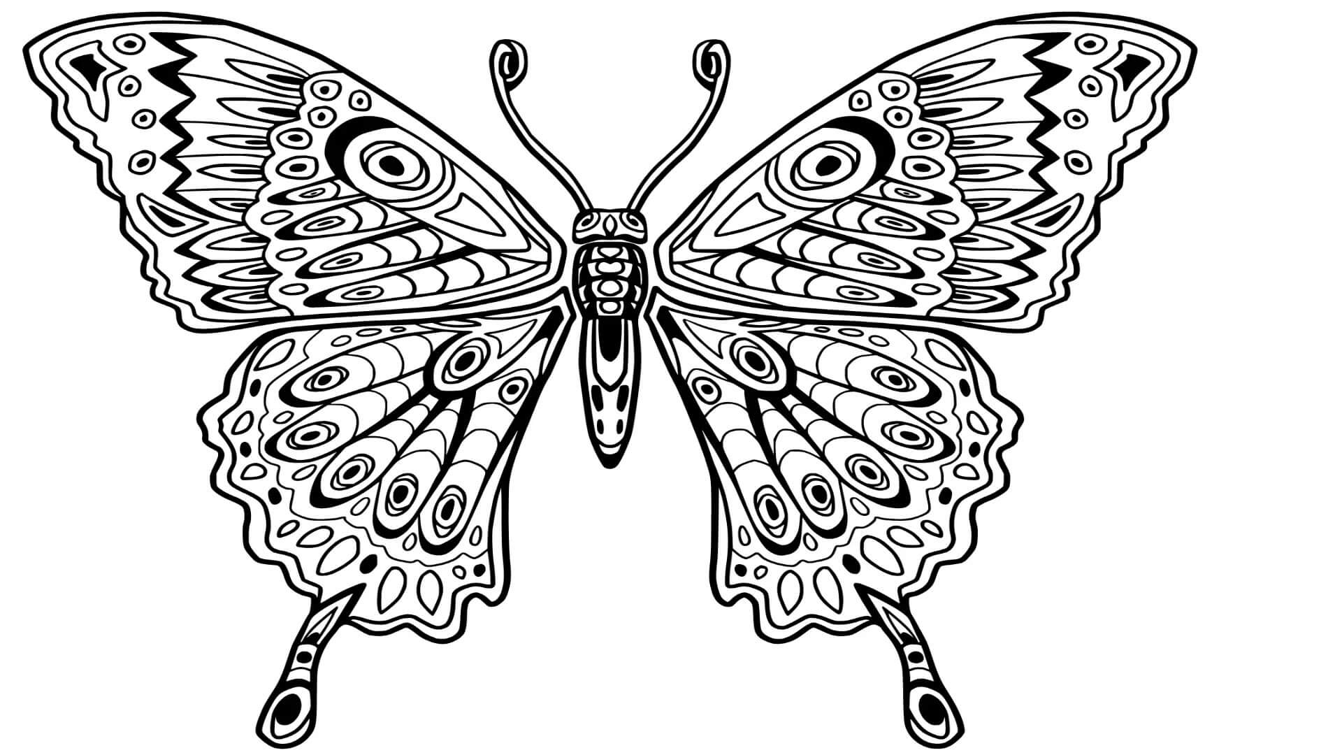 Dibujos de Mariposa Asombrosa para colorear