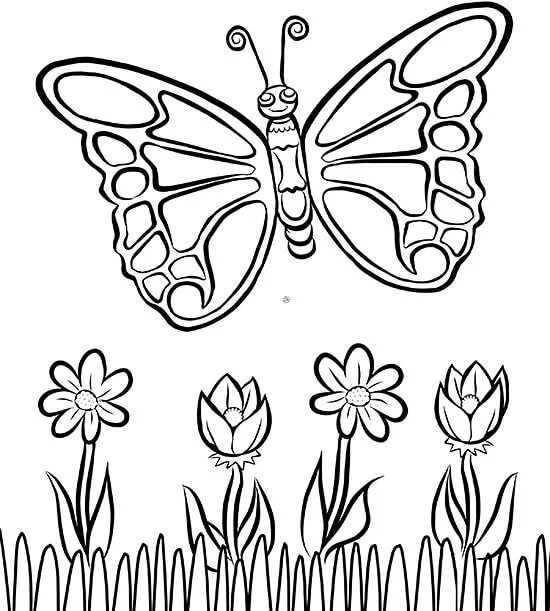 Dibujos de Mariposa Básica para colorear