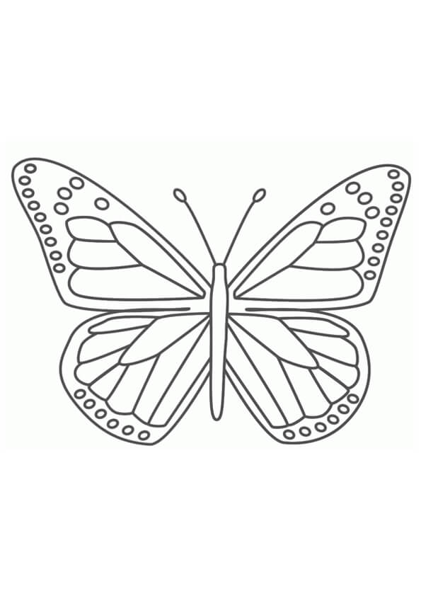 Mariposa Imprimible para colorir