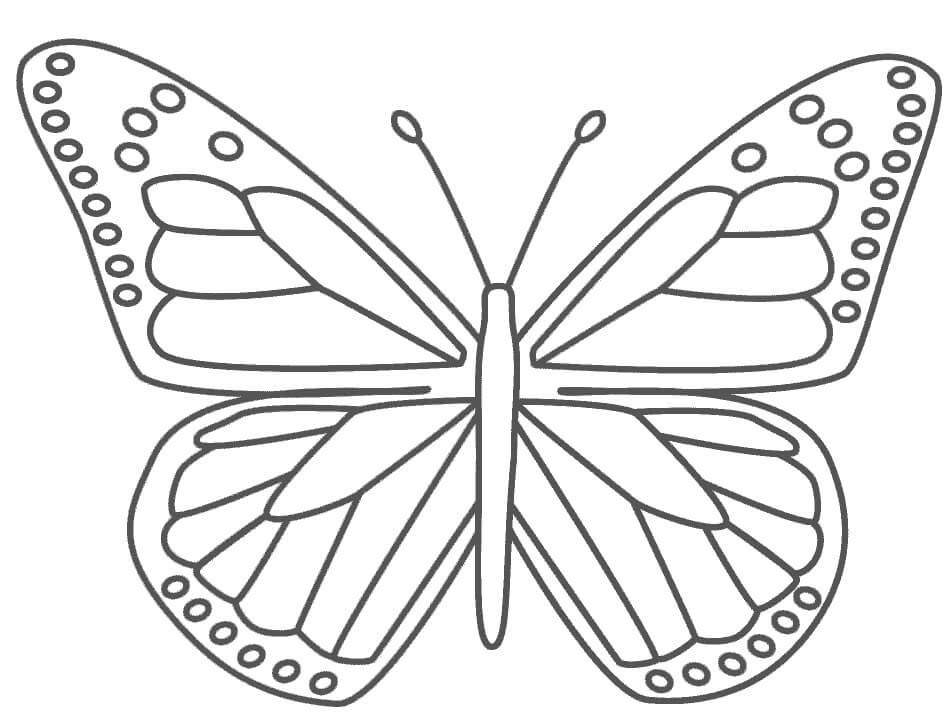 Dibujos de Mariposa Monarca para colorear
