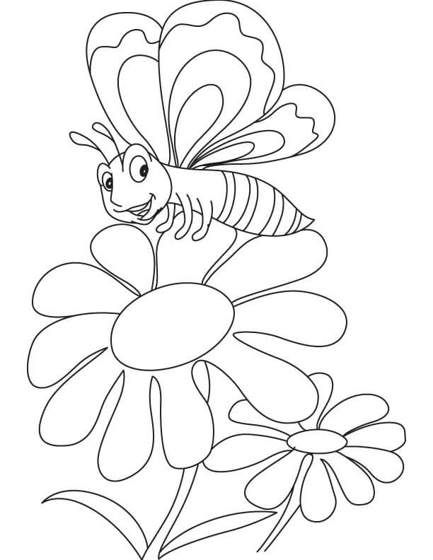 Dibujos de Mariposa con Margarita para colorear