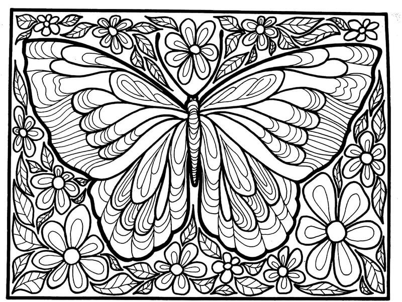 Dibujos de Mariposa en Hoja y Flor para colorear