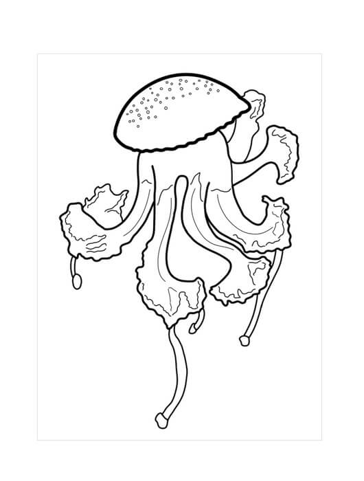 Dibujos de Medusa Dulce para colorear