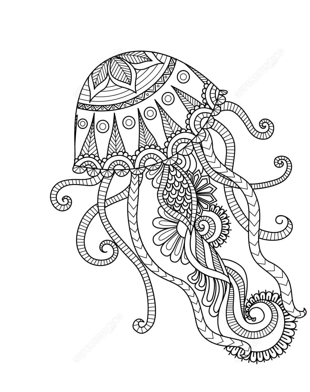 Medusas Hermosas para colorir