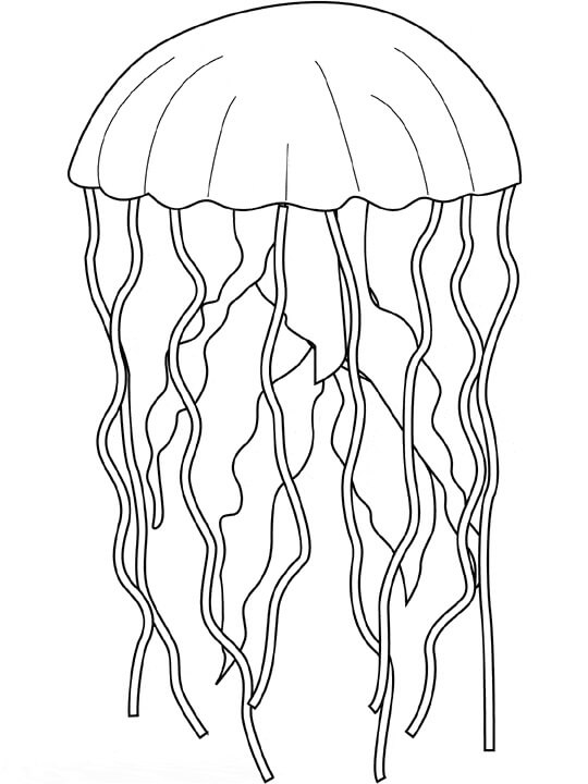 Dibujos de Medusas Impresionantes para colorear