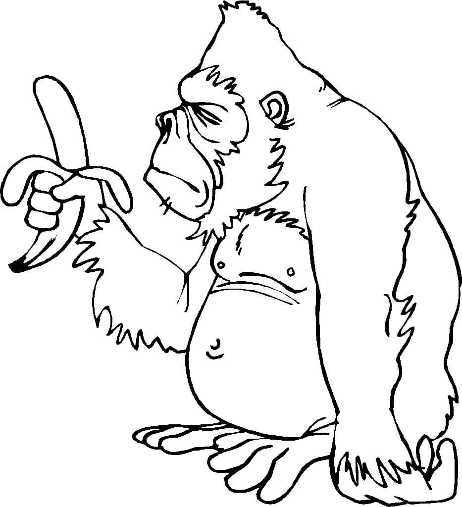 Mono Gordo Sosteniendo un Plátano para colorir