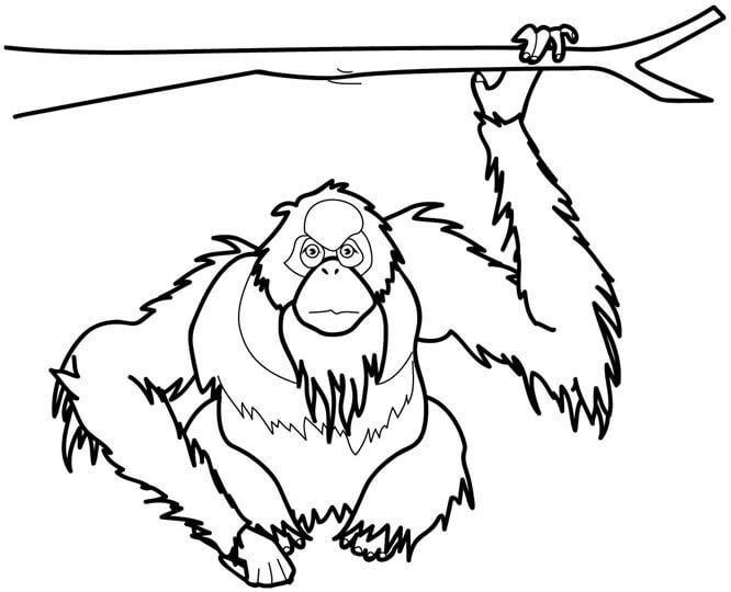 Dibujos de Mono sin cola Sosteniendo una rama de Árbol para colorear