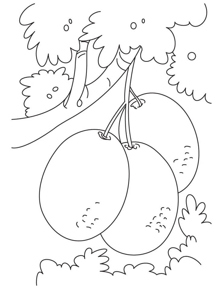 Dibujos de Montón de kiwi en el Árbol para colorear