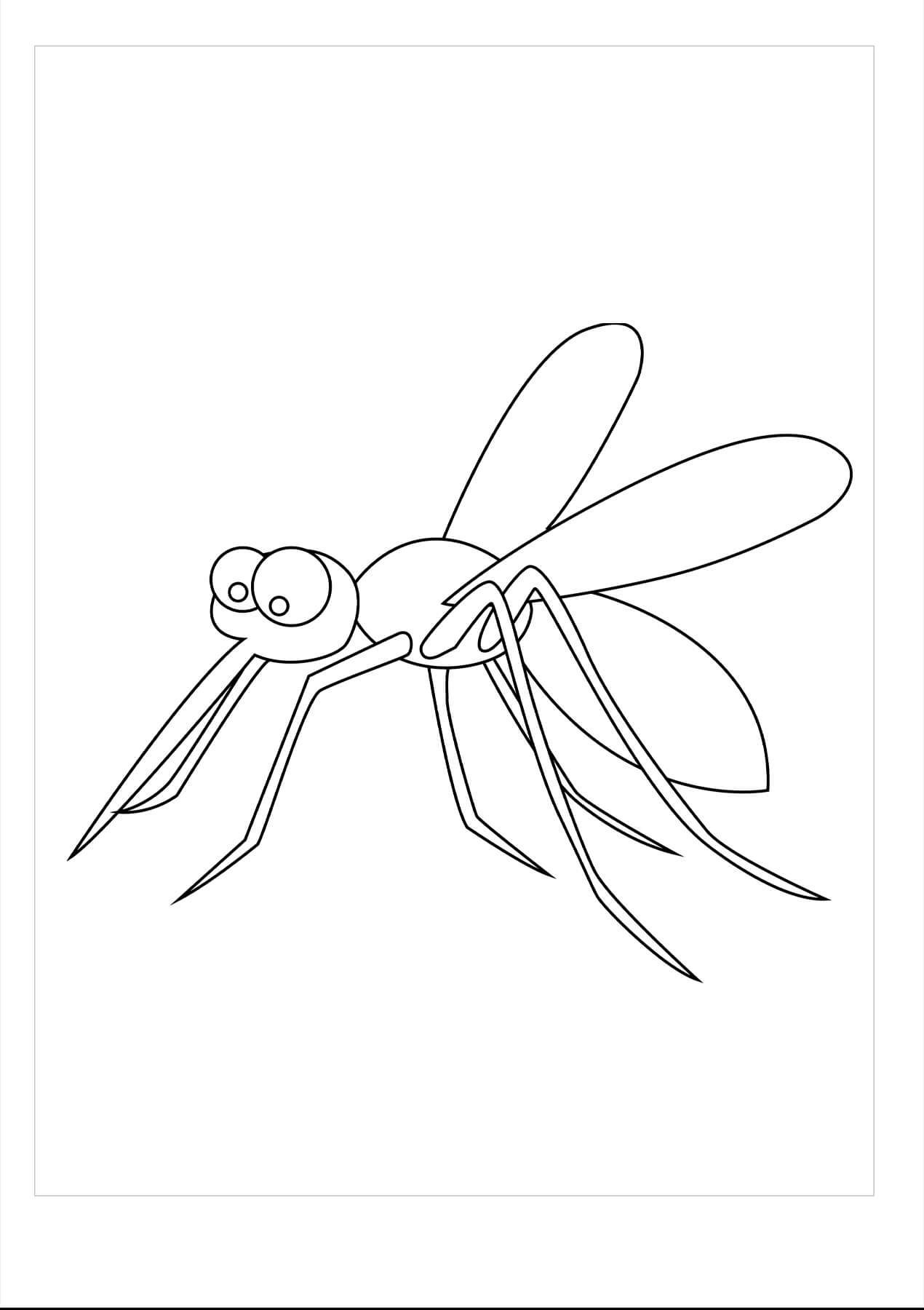 Dibujos de Mosquito para colorear