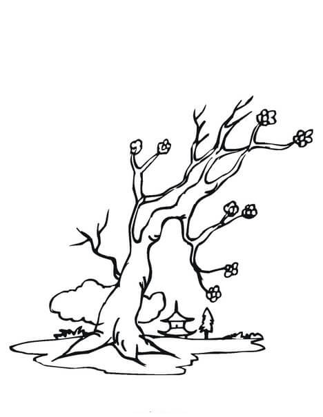 Dibujos de Muerte del Árbol de Flor de Cerezo para colorear