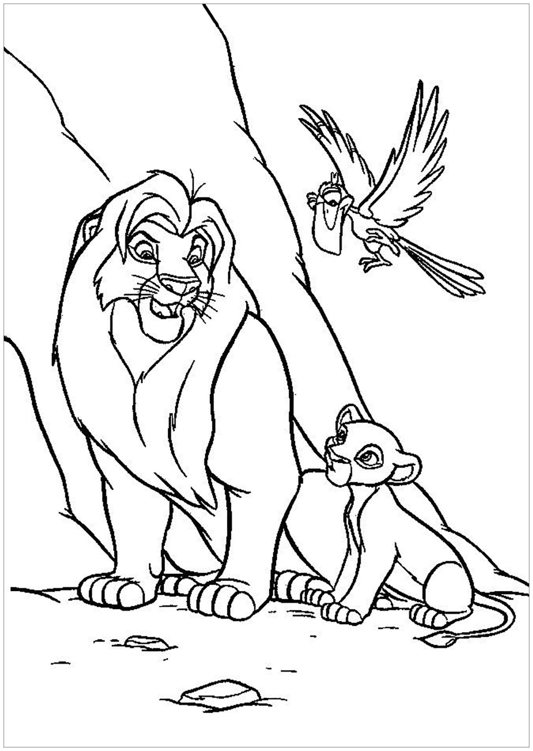 Mufasa, Simba y Zazú para colorir