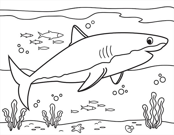 Dibujos de Natación de Tiburones para colorear