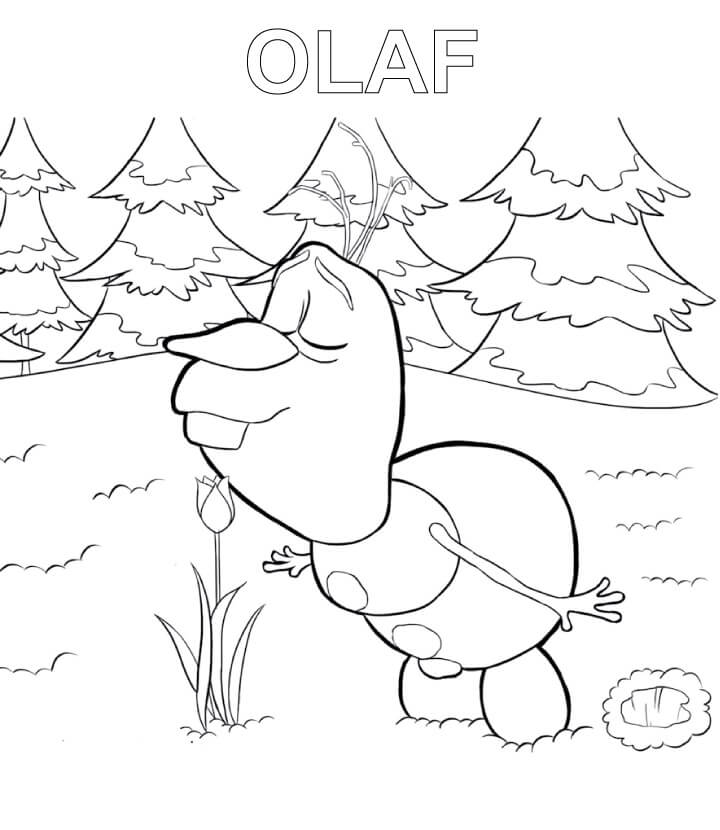 Olaf con Flor para colorir