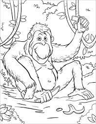 Dibujos de Orangután Comiendo Plátano para colorear