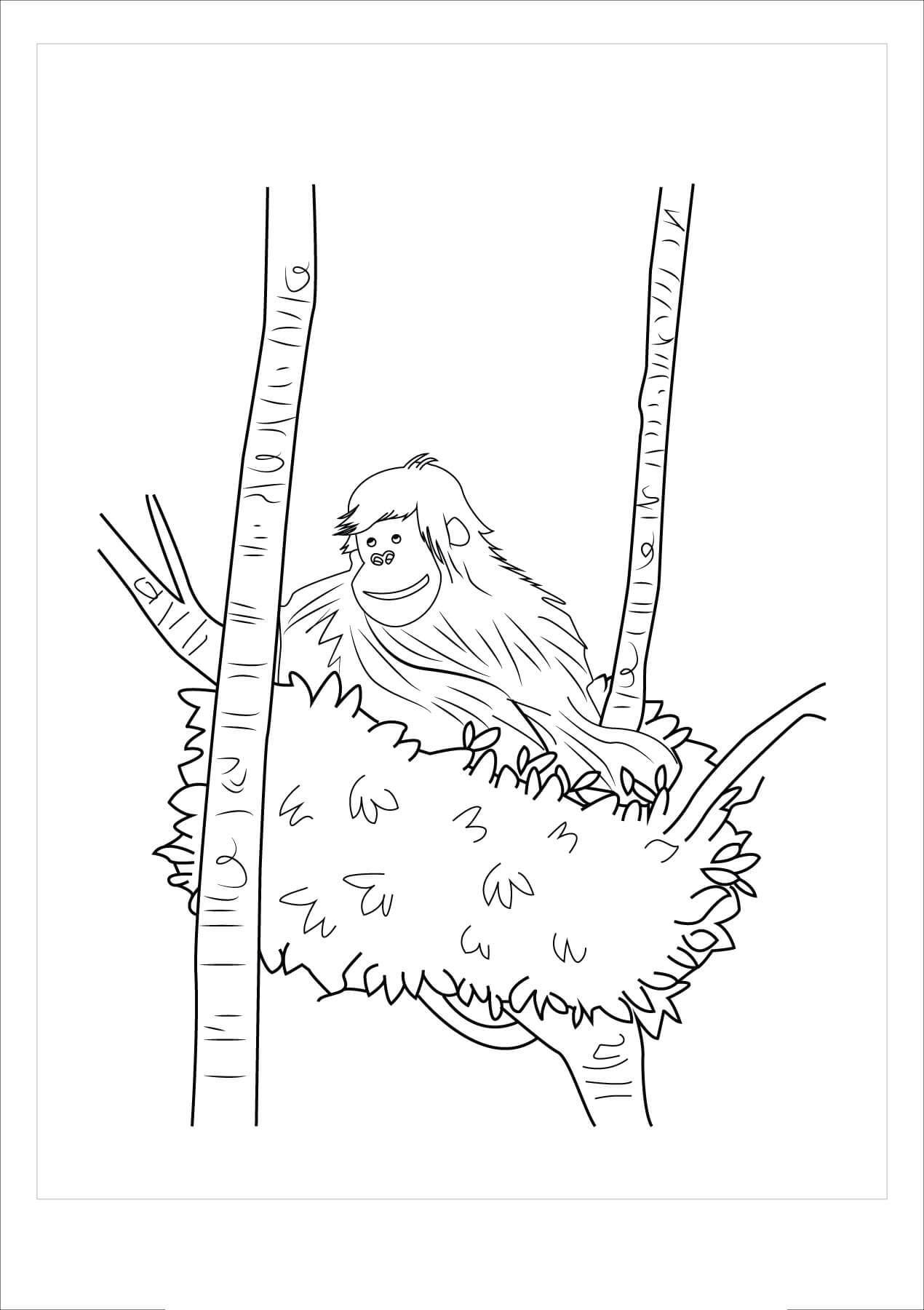 Dibujos de Orangután en rama de Árbol para colorear