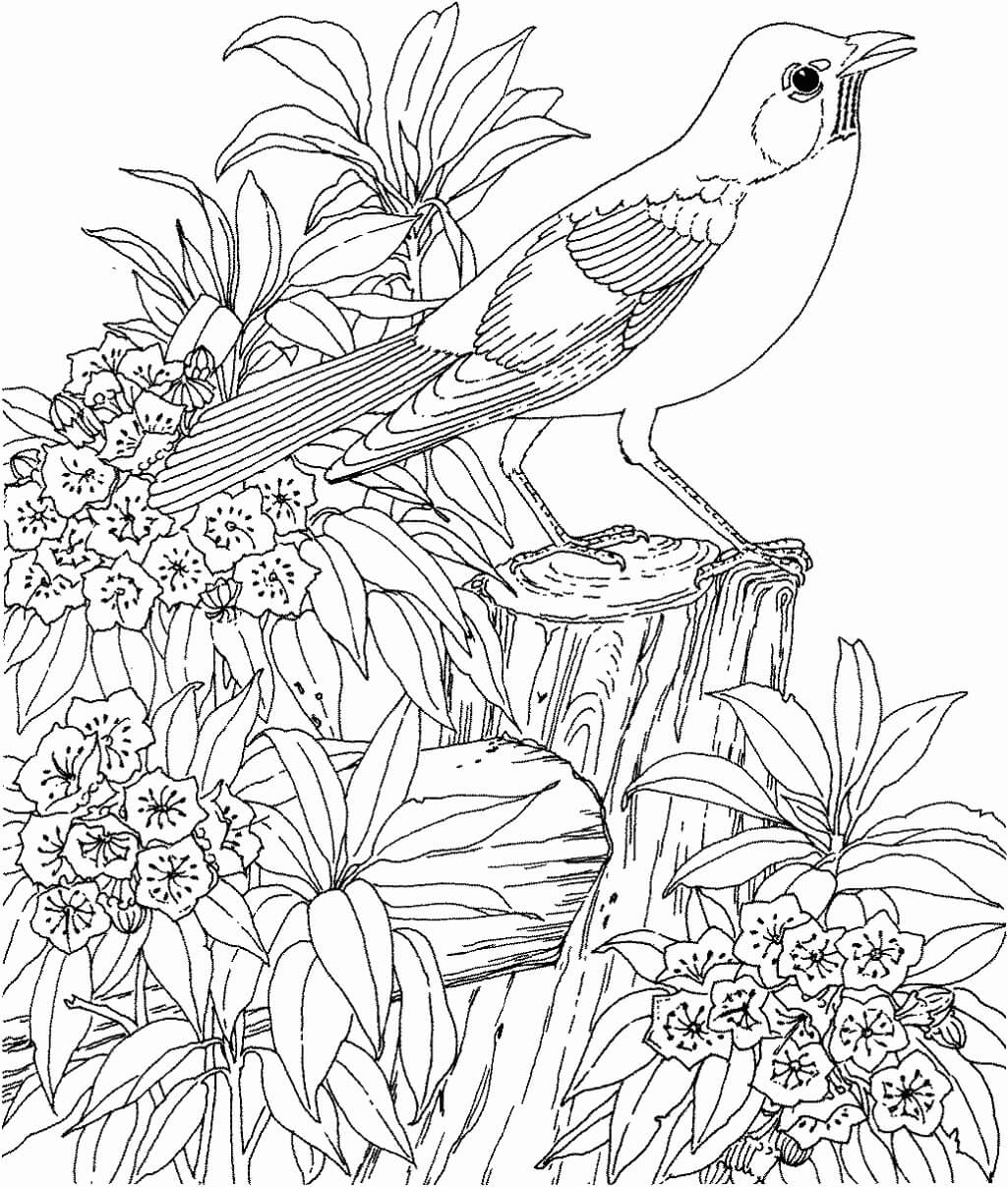 Dibujos de Paisaje Pájaro y Flor para colorear