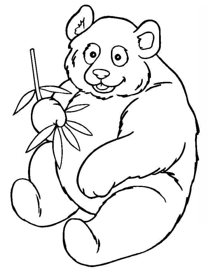 Dibujos de Panda Gordo Comiendo Bambú para colorear